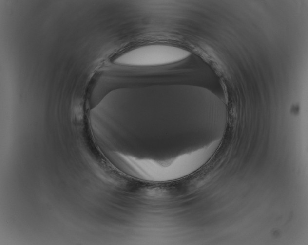 X0000094350500200711241918