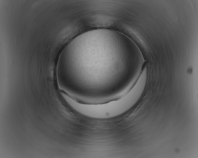 X0000094350501200711241918