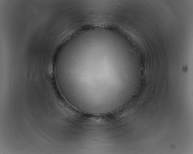 X0000094350502200711241918