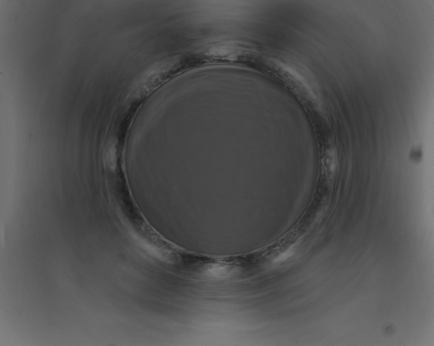 X0000094350504200711241918