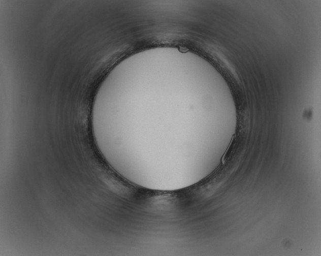 X0000094350505200711241918