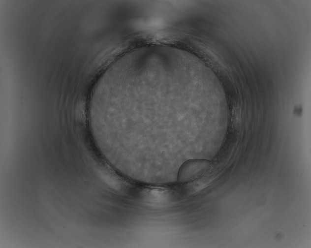 X0000094350506200711241918