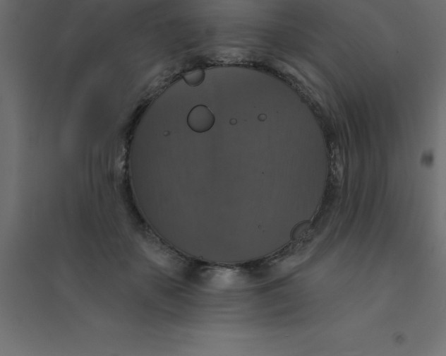 X0000094350507200711241918