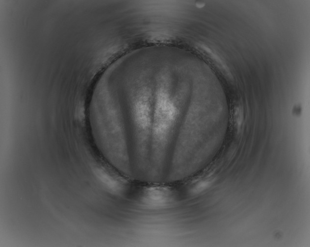 X0000094350508200711241918