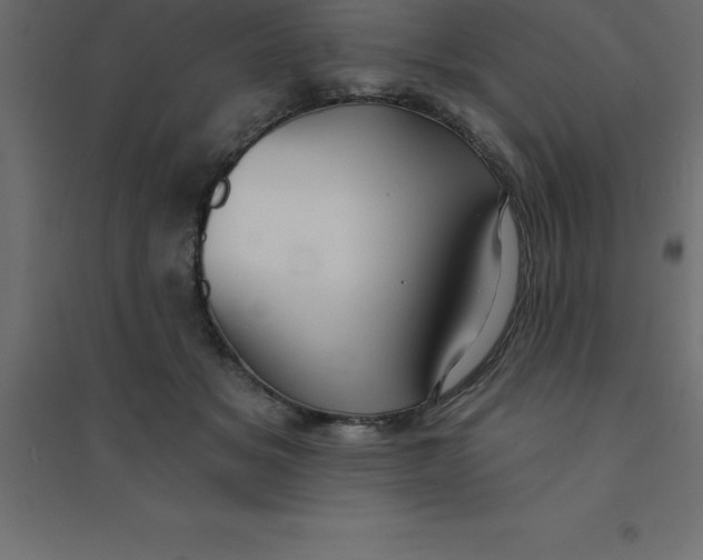 X0000094350509200711241918