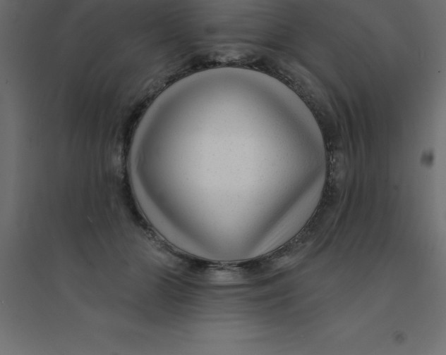 X0000094350510200711241918