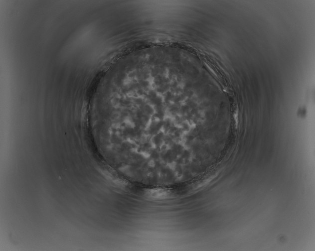 X0000094350511200711241918