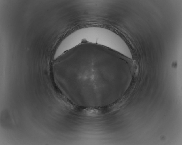 X0000094350512200711241918