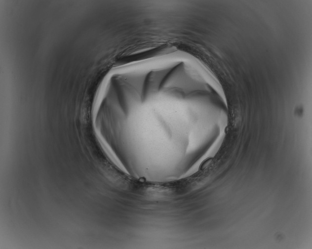 X0000094350515200711241918