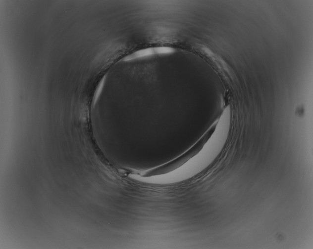 X0000094350517200711241917