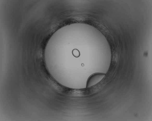 X0000094350518200711241917