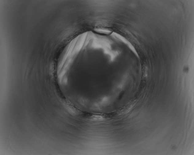 X0000094350519200711241917