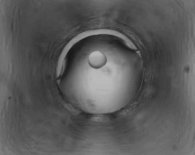 X0000094350521200711241917