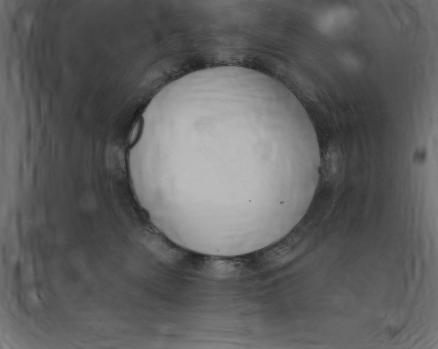 X0000094350522200711241917