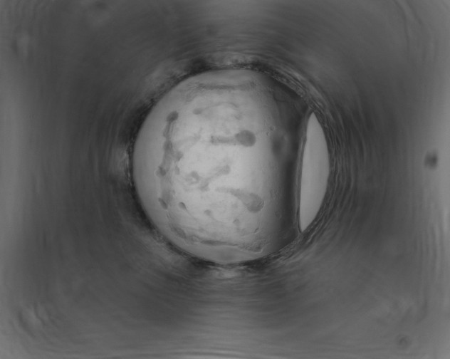 X0000094350523200711241917