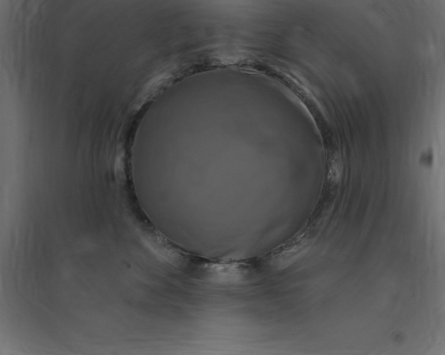 X0000094350524200711241917