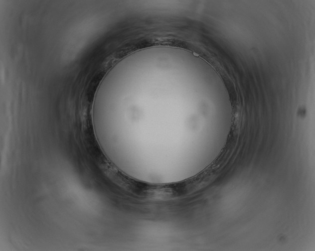 X0000094350525200711241917