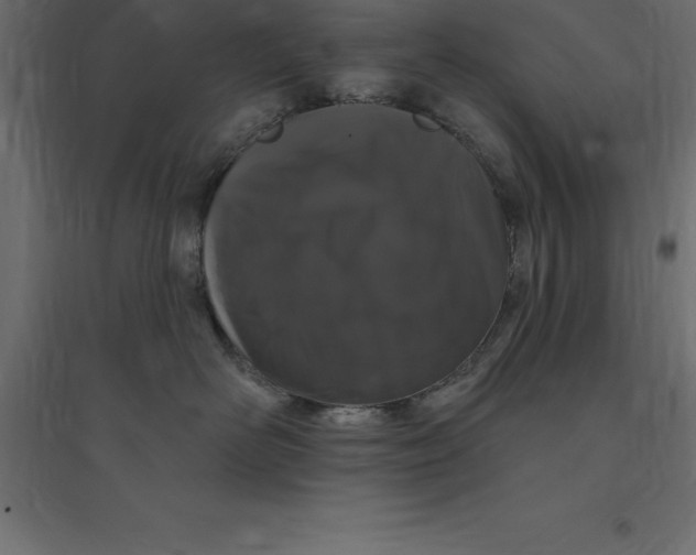 X0000094350526200711241917