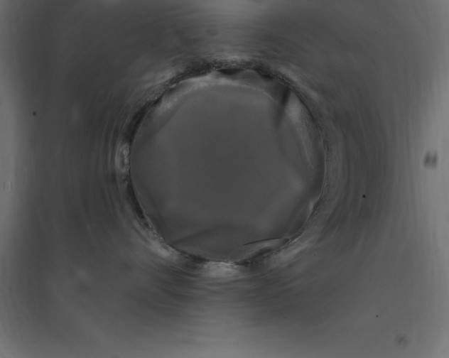 X0000094350528200711241917