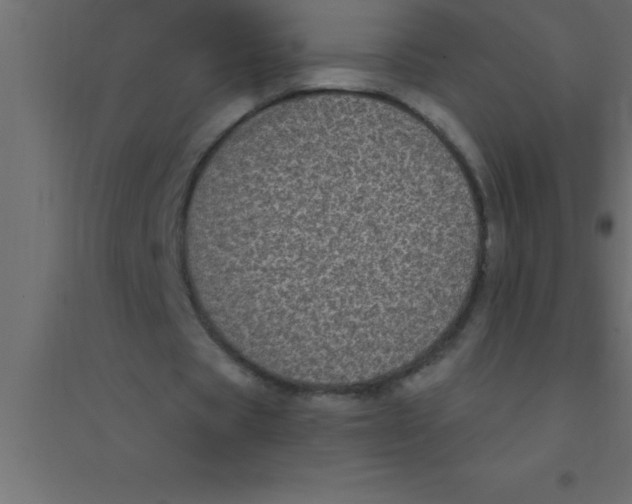 X0000094350529200711241917