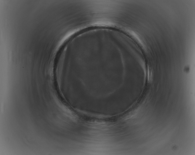 X0000094350531200711241917