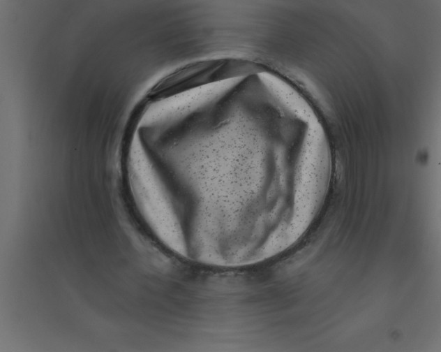 X0000094350532200711241917