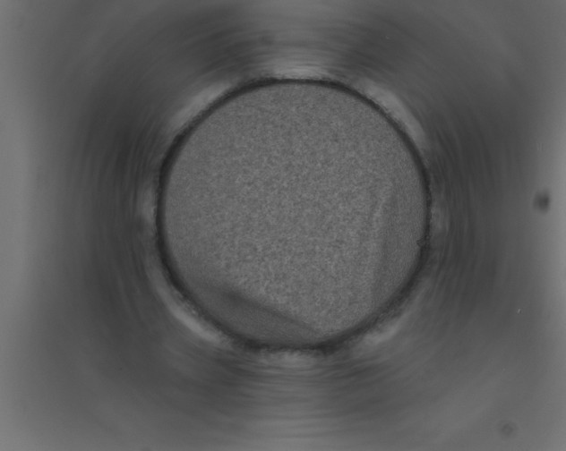 X0000094350533200711241917