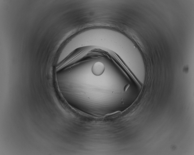 X0000094350534200711241917