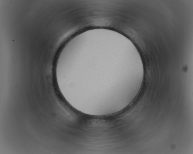 X0000094350535200711241917