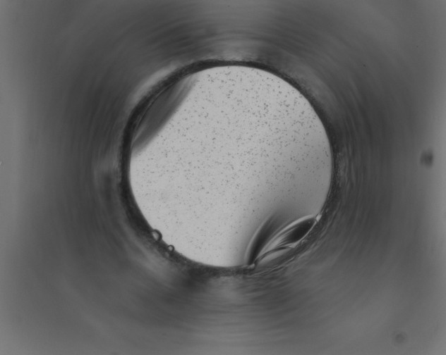 X0000094350536200711241917