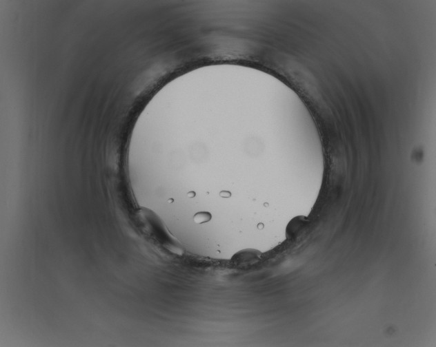 X0000094350539200711241917