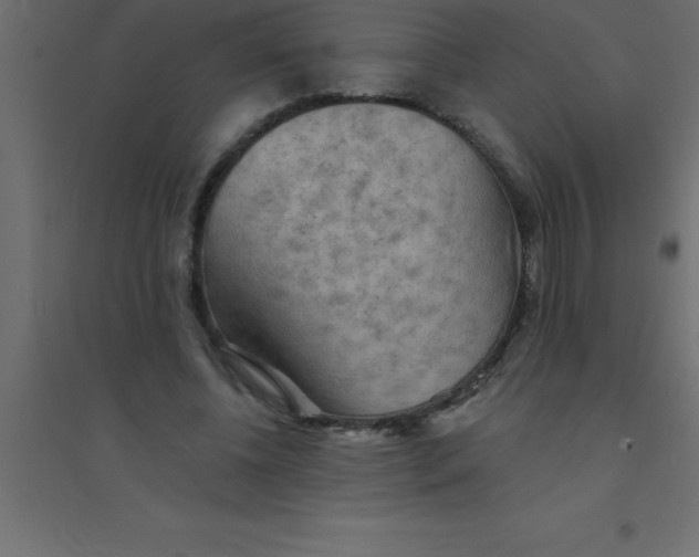 X0000094350540200711241917