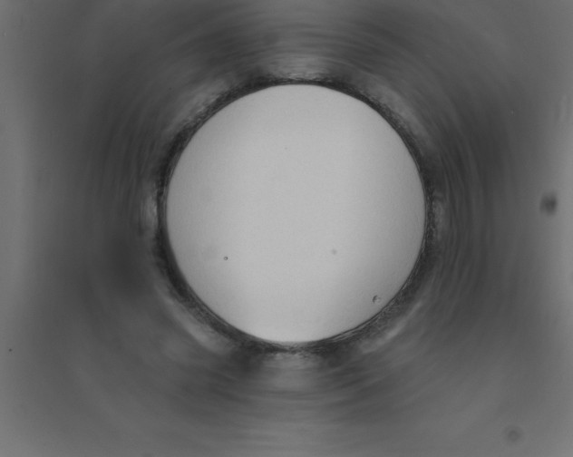 X0000094350541200711241917