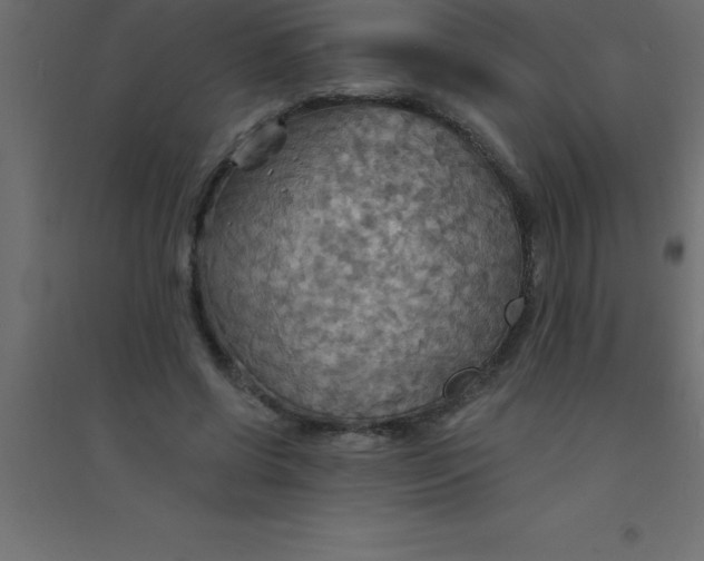 X0000094350542200711241917