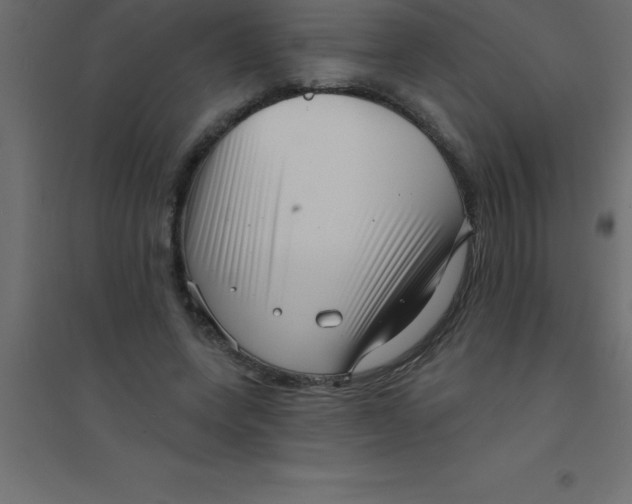 X0000094350543200711241917