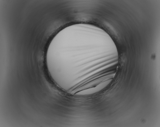 X0000094350544200711241917