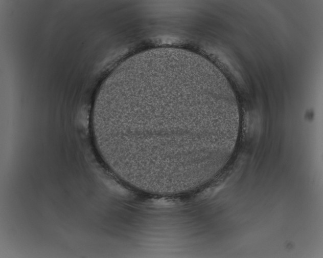 X0000094350545200711241917