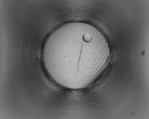 X0000094350546200711241917