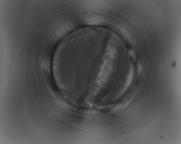 X0000094350547200711241917