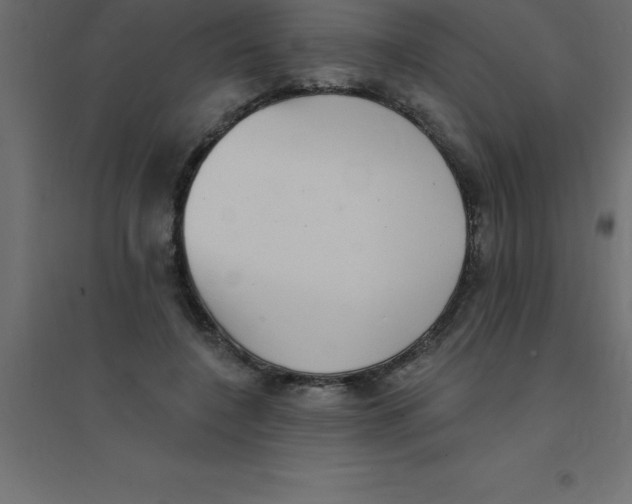 X0000094350548200711241917