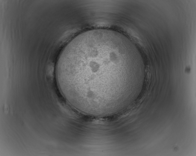 X0000094350550200711241917