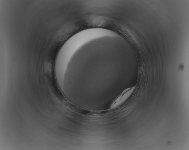 X0000094350551200711241917