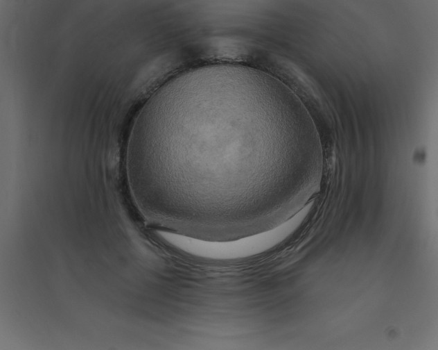 X0000094350552200711241917