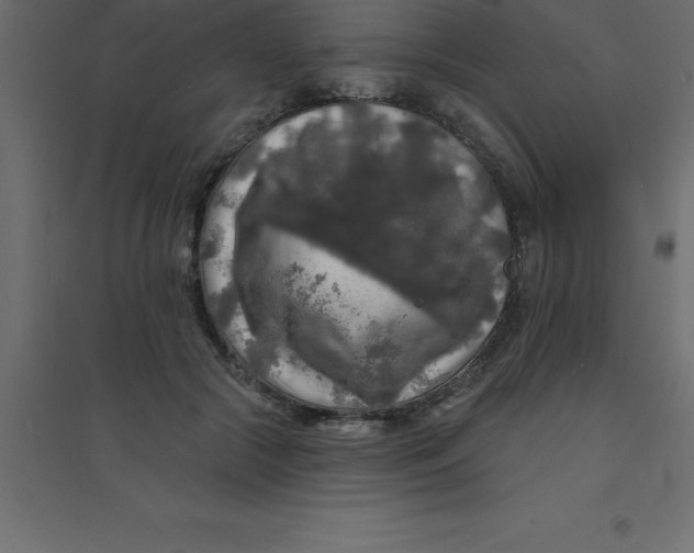 X0000094350553200711241917