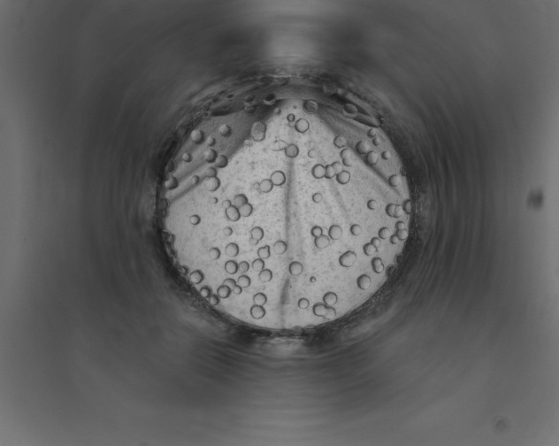 X0000094350554200711241917