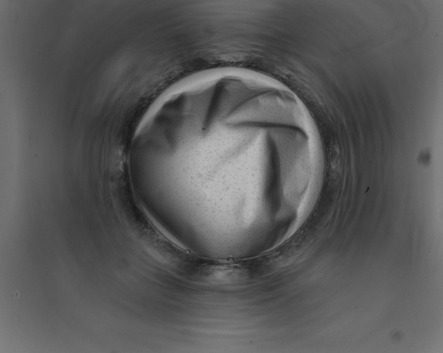 X0000094350555200711241917