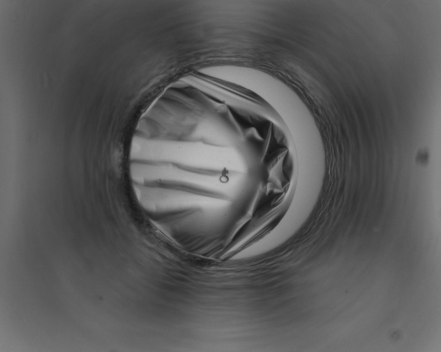 X0000094350556200711241917