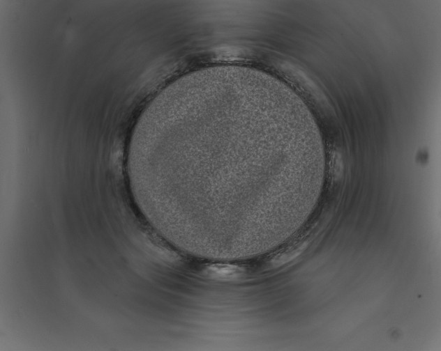 X0000094350557200711241917