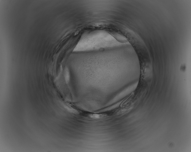 X0000094350558200711241917