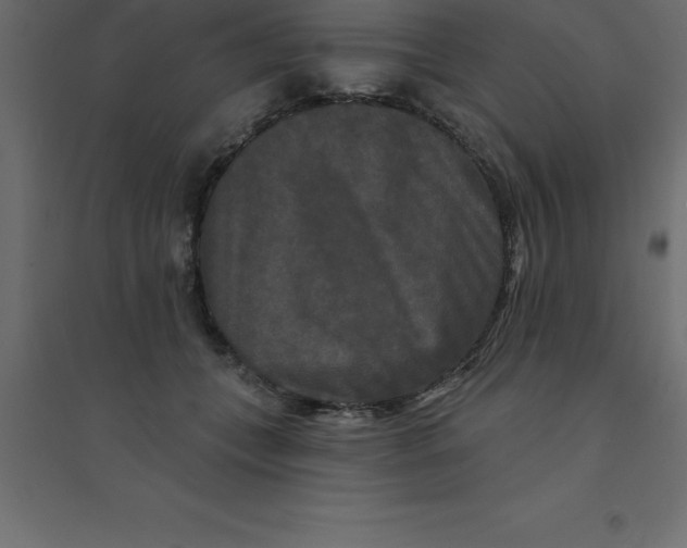 X0000094350559200711241917